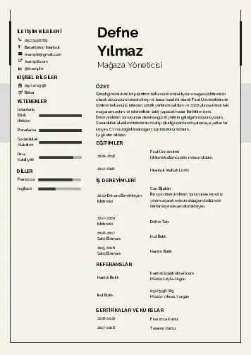 Yönetici CV Örnekleri cv indir